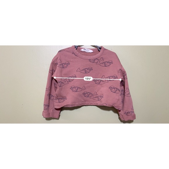 H&M Baby Seal Crewneck and Skirt Set US size 6 GUC - Picture 4 of 9